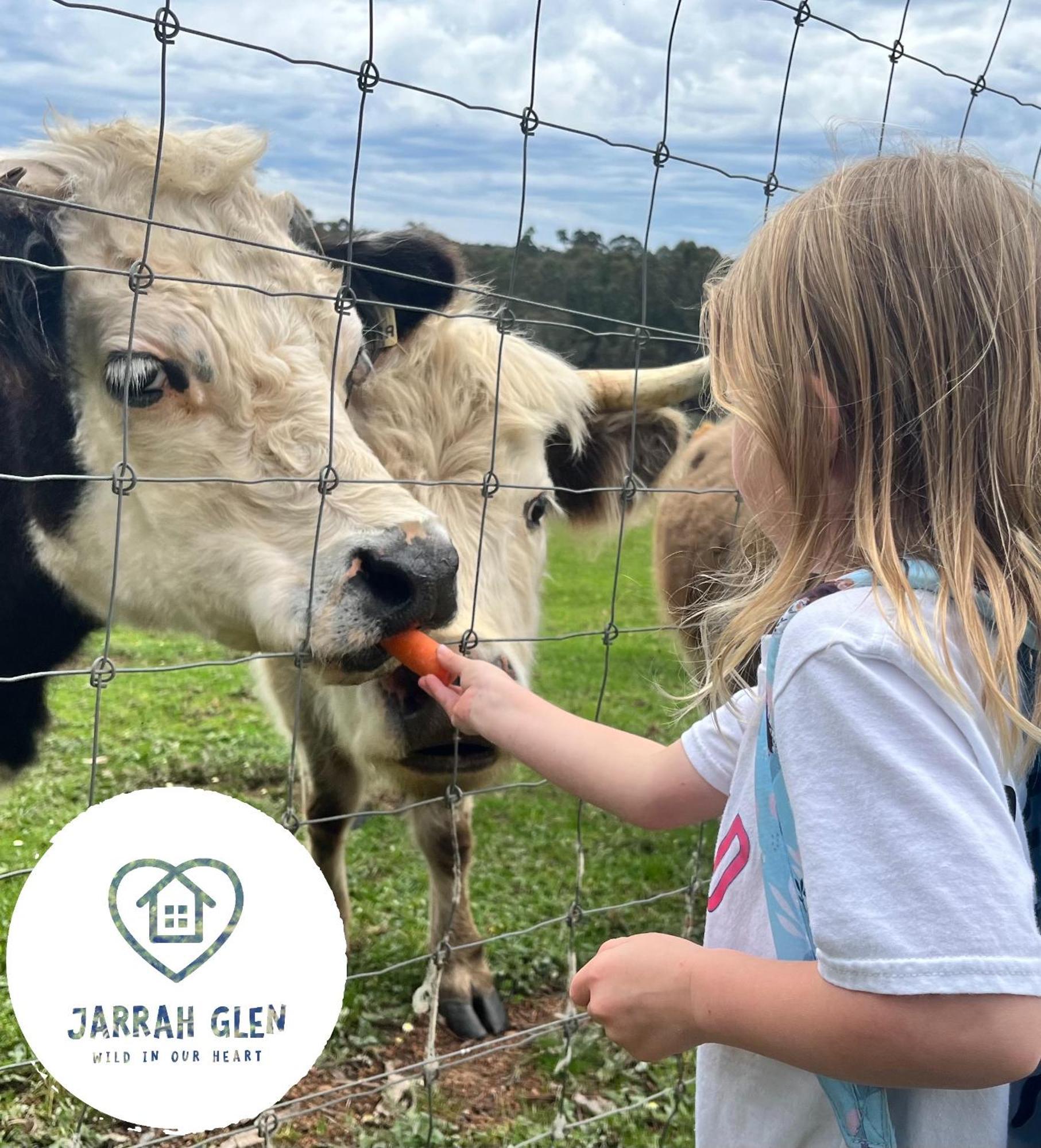 Jarrah Glen Cabins Nannup Eksteriør billede