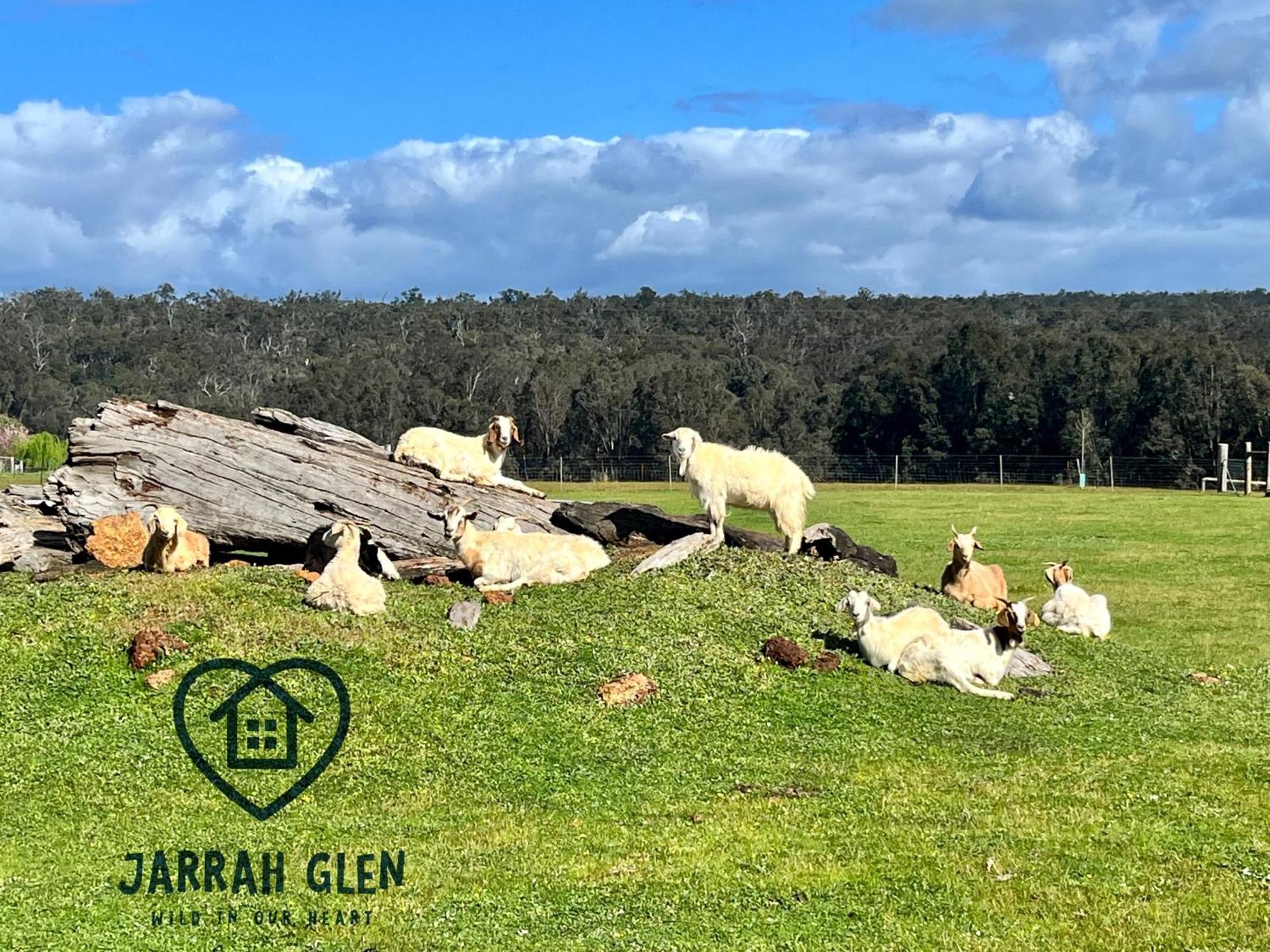 Jarrah Glen Cabins Nannup Eksteriør billede