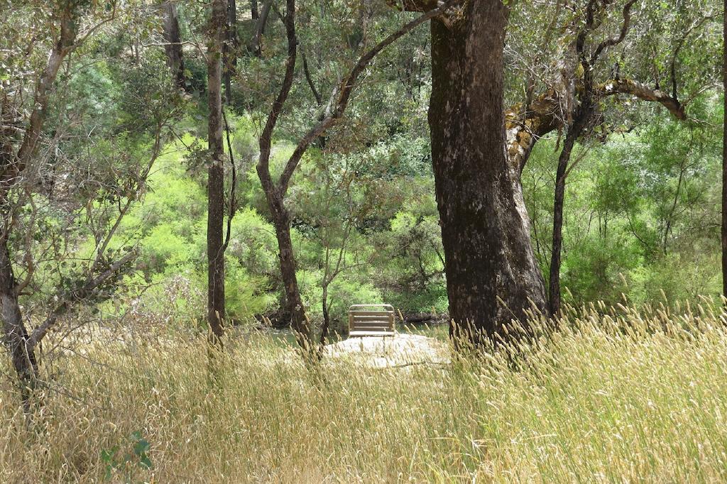 Jarrah Glen Cabins Nannup Værelse billede