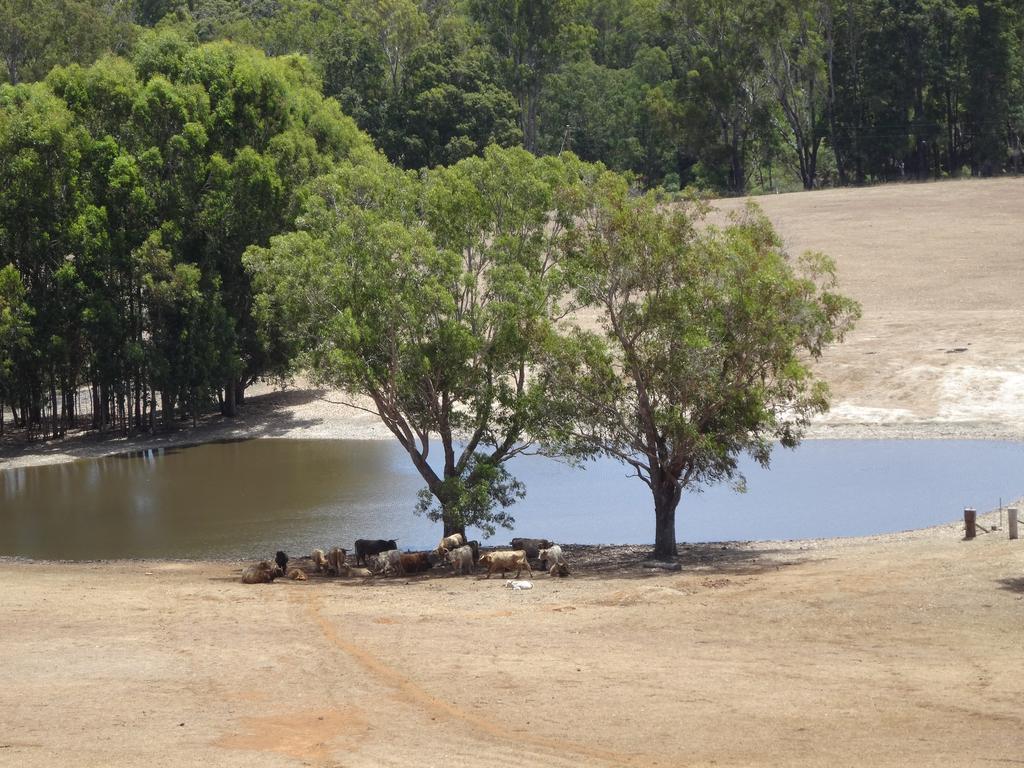Jarrah Glen Cabins Nannup Eksteriør billede